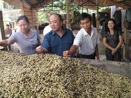 Chủ tịch T.Ư Hội NDVN Nguyễn Quốc Cường (giữa)  thăm mô hình canh tác cà phê của ND xã Hua La, TP. Sơn La, tỉnh Sơn La.