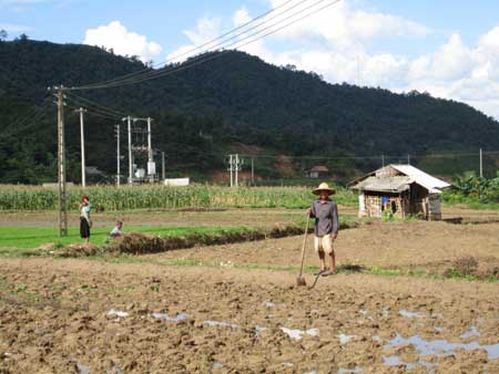 Có đủ điện và nước tưới, nông dân xã Mường Giàng, huyện Quỳnh Nhai thực hiện sản xuất tăng vụ,  nâng cao thu nhập.