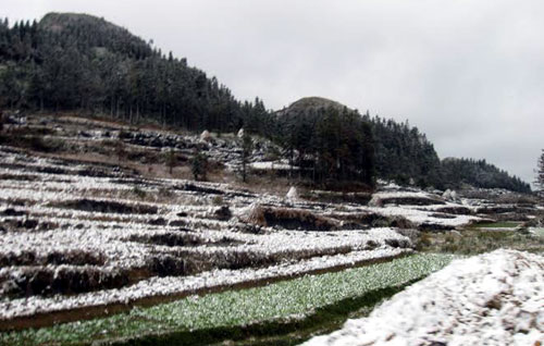 Tuyết rơi trắng xóa phủ kín nương ruộng ở các xã vùng cao huyện Mèo Vạc