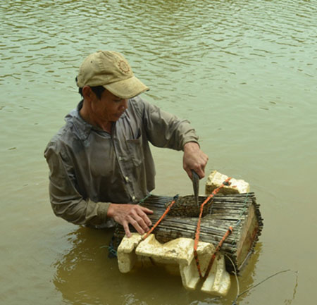 Tài bắt cá bằng tay của anh Vận mù đã trở nên nổi tiếng... 