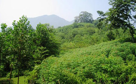 Thung lũng Ken Rai, nằm giữa quả đồi Chợ Phét (thuộc thôn Duồng, xã Điền Hạ, huyện Bá Thước, Thanh Hoá) nơi vốn là công trường khai thác đá Hồng Ngọc năm 1974.