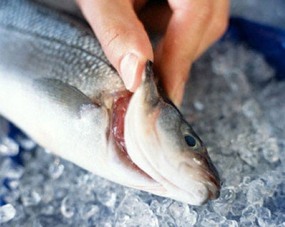 Mua cá thì bạn cũng đừng ngại ngần việc bẩn tay, vì ngại sẽ dễ mua phải cá không ngon. Hãy vạch mang cá ra xem, nếu mang còn đỏ là cá tươi nhưng nếu nó trắng bệch hoặc thâm là cá ươn. 
