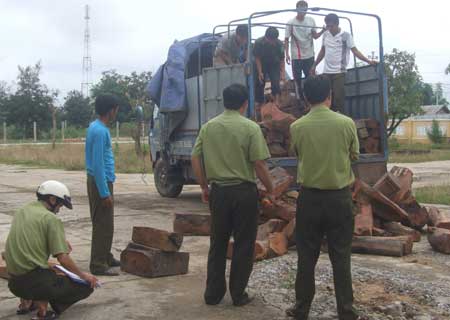 Xe tải và 5,5m3 gỗ lậu bị tịch thu.