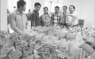 Các giống nấm được giới thiệu tại Viện Di truyền nông nghiệp Việt Nam.  (Ảnh minh hoạ - Nguồn: Báo Nhân dân)