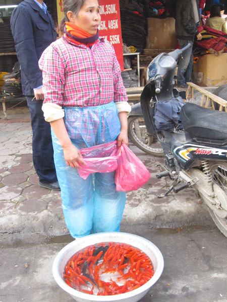 Hàng cá chép vàng vắng người mua, người bán buồn thiu.