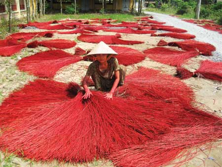   Các bó lác tươi rói, màu sắc sặc sỡ sau khi được nhuộm màu phải qua quá trình phơi nắng một cách tỉ mỉ, cẩn thận.