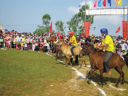   Những kỵ sĩ chân đất ở Hội đua ngựa Gò Thì Thùng (Tuy An, Phú Yên). 