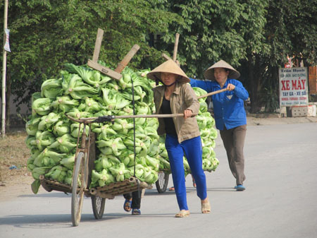 Rau tấp nập lên phố