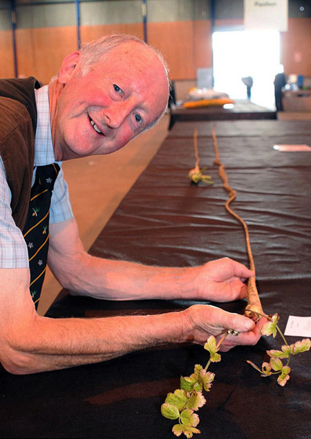 Ông Glazebrook cũng đã từng trưng bày cây củ cần (parsnip) dài nhất thế giới, dài tới 18,5ft (dài hơn 6m), dài gấp 36 lần cây củ cần bình thường.