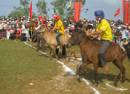 Hội đua ngựa thường xuân  ở huyện Tuy An (Phú Yên).