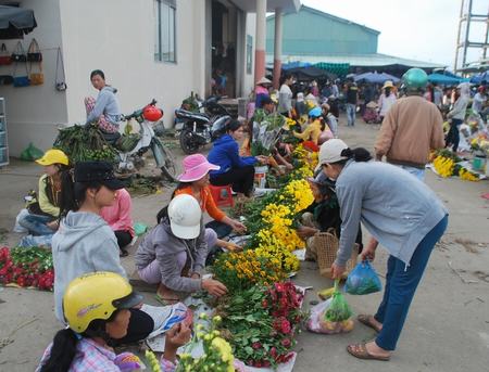 Bán hoa Tết ở chợ Túy Loan