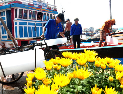 Ngư dân Quảng Ngãi tập kết đá lạnh đưa xuống khoang tàu chuẩn bị ra khơi vừa đánh bắt thủy sản vừa đón Tết trên biển.