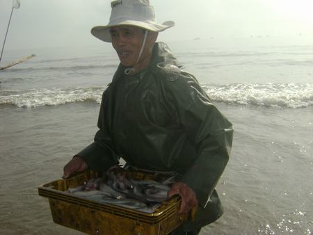 2.	Từng khay cá được đưa vào bờ