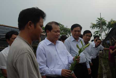 Phó Thủ tướng Vũ Văn Ninh thăm cánh đồng hoa của nông dân Nguyễn Văn Xuân (Đan Phượng, Hà Nội)  mang lại giá trị 2 tỷ đồng/năm, cao hơn nhiều so với trồng lúa trước đây.