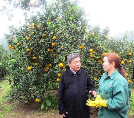 Lãnh đạo tỉnh Hà Tĩnh thăm hộ gia đình phát triển mô hình kinh tế (Trong ảnh: Trang trại chị Hiền ở xã Thượng Lộc).