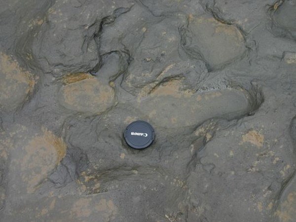 Vết chân người được tìm thấy ở bãi biển tại Happisburgh trên bờ biển Norfolk Anh. (Nguồn: AP)