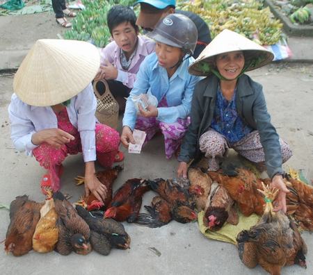 Bán gà cúng tất niên.