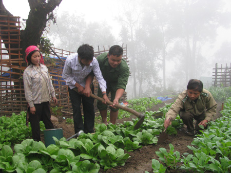 ND huyện Mường Tè tìm hiểu cách thức sản xuất rau xanh do Bộ đội Biên phòng tỉnh phối hợp Hội ND chuyển giao. 