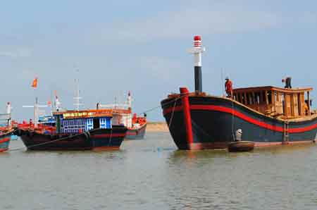 Đội tàu của Đàn 19 chuẩn bị chuyến mở biển đầu xuân Giáp Ngọ.  