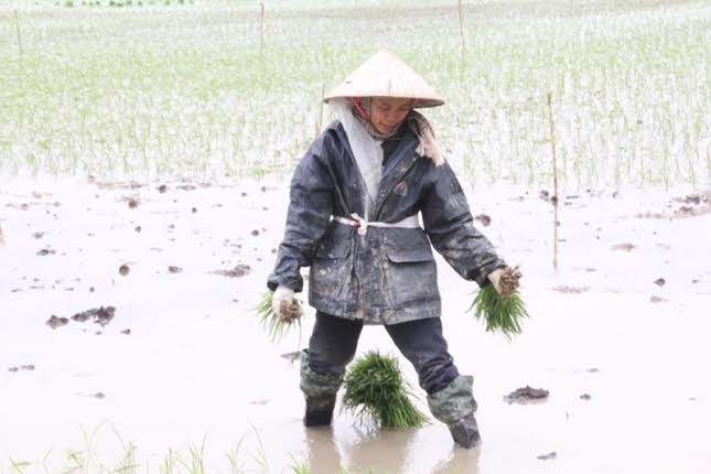 Người dân mặc thêm áo ấm, quàng áo mưa, đội nón, đi ủng, nhưng cái lạnh vẫn hiện rõ trên khuôn mặt và giọng nói.