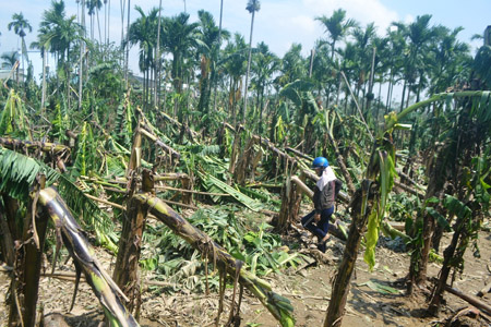 Lũ lụt năm 2013 gây thiệt hại nặng cho người dân huyện Đại Lộc, tỉnh Quảng Nam.