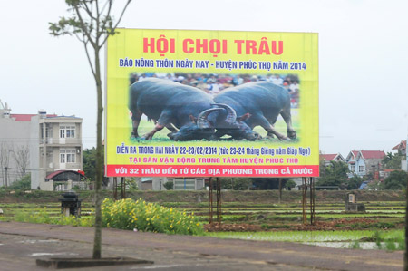 Pa-nô tuyên truyền về Hội chọi trâu Báo NTNN - Phúc Thọ 2014. 