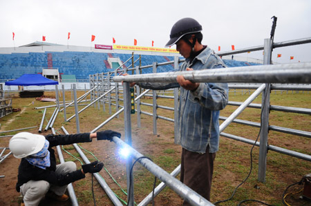 Công nhân đang lắp dàn sắt bảo vệ người xem tại Hội chọi trâu Báo NTNN - Phúc Thọ 2014, ngày 20.2. 