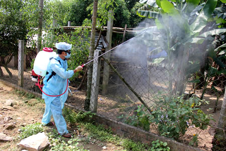 Công tác phòng dịch được tăng cường nhằm đối phó với cúm A/H5N1