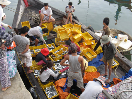 Ngư dân xã Phổ Quang bán hải sản sau chuyến đánh bắt.