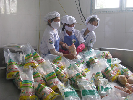 Công nhân đóng gói gà sạch ở Công ty cổ phần Chăn nuôi và chế biến gia cầm Trường Anh (Bắc Giang). 