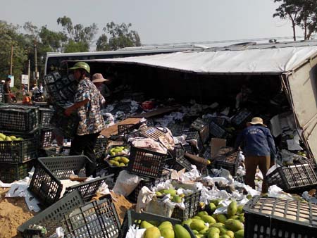 Sau khi xe tải lật do tai nạn, người dân xung quanh phụ giúp tài xế thu gom trái cây .