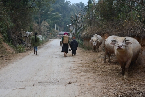 Đường lên cột cờ Lũng Cú.