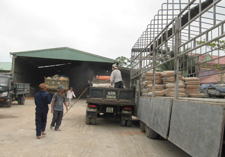 Nhờ tham gia Hội mà nhiều DN có điều kiện liên kết phát triển. Trong ảnh: Công ty TNHH Đại Phước Long là một trong những DN tiêu biểu của Hội DN Cẩm Lệ.