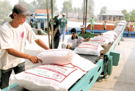 Khai thác được thị trường Trung Quốc sẽ là lối ra mới cho ngành lúa gạo Việt Nam.