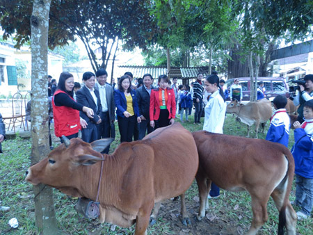 Người dân xã Hiền Kiệt, huyện Quan Hóa nhận bò dự án do Nhà nước hỗ trợ.