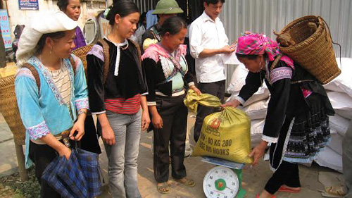 Người dân phường Đoàn Kết, thị xã Lai Châu nhận gạo hỗ trợ của nhà nước (Ảnh: báo Lai Châu)