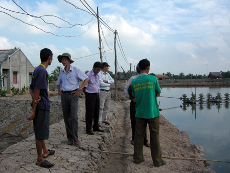 Nhiều người nuôi tôm ở xã Phú Tân, huyện Tân Phú Đông, Tiền Giang sử dụng điện không an toàn. 