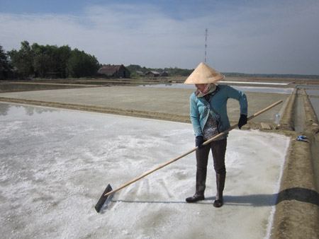 Diêm dân Cần Giờ thu hoạch muối