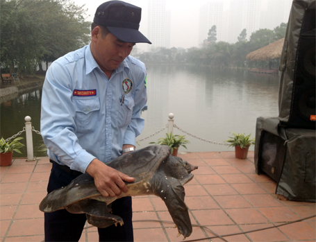 Ba ba Nam Bộ sẽ được thả về rừng Cúc Phương