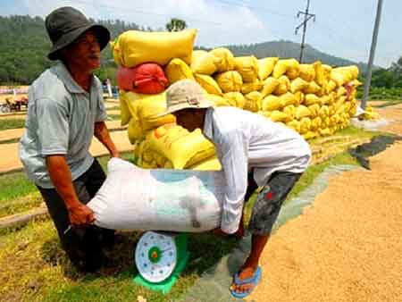 Chính phủ đã tạo các chính sách ưu đãi cho việc mua tạm trữ gạo ngay trong tháng 3.2014.