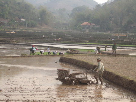 Nông dân bản Củ, xã Chiềng Mung ra quân  sản xuất vụ xuân 2014.