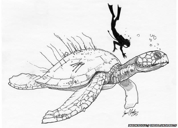 Hình ảnh mô phỏng loài rùa khổng lồ Atlantochelys mortoni.