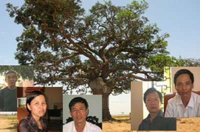 Những nhân chứng kể chuyện về “cây thiêng giết người” (Ảnh Giadinh.net)