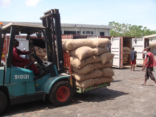 Mỗi năm, công ty anh Phiệt xuất khoảng 100.000 tấn điều thô sang Việt Nam, Ấn Độ và Brazil.