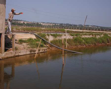 Ông Phạm Thanh Việt dùng đồng vốn Agribank cho vay để phát triển nuôi cá.
