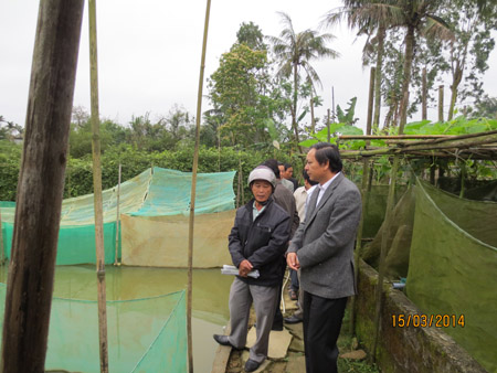 Phó Chủ tịch T.Ư Hội NDVN  Lều Vũ Điều (phải) thăm mô hình nuôi ếch của ông Trần Đức Tín,   thành viên CLB nuôi ếch thôn Thuận Hòa B. 