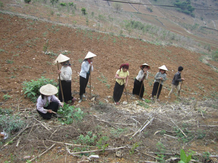 Nông dân xã Bon Phặng, huyện Thuận Châu, làm đất nương nhưng không xâm phạm mốc giới rừng-nương rẫy. 