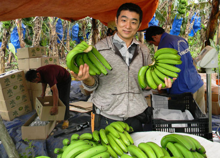 Doanh nhân Nhật Bản tìm hiểu sản phẩm chuối la ba ở Lâm Đồng. 