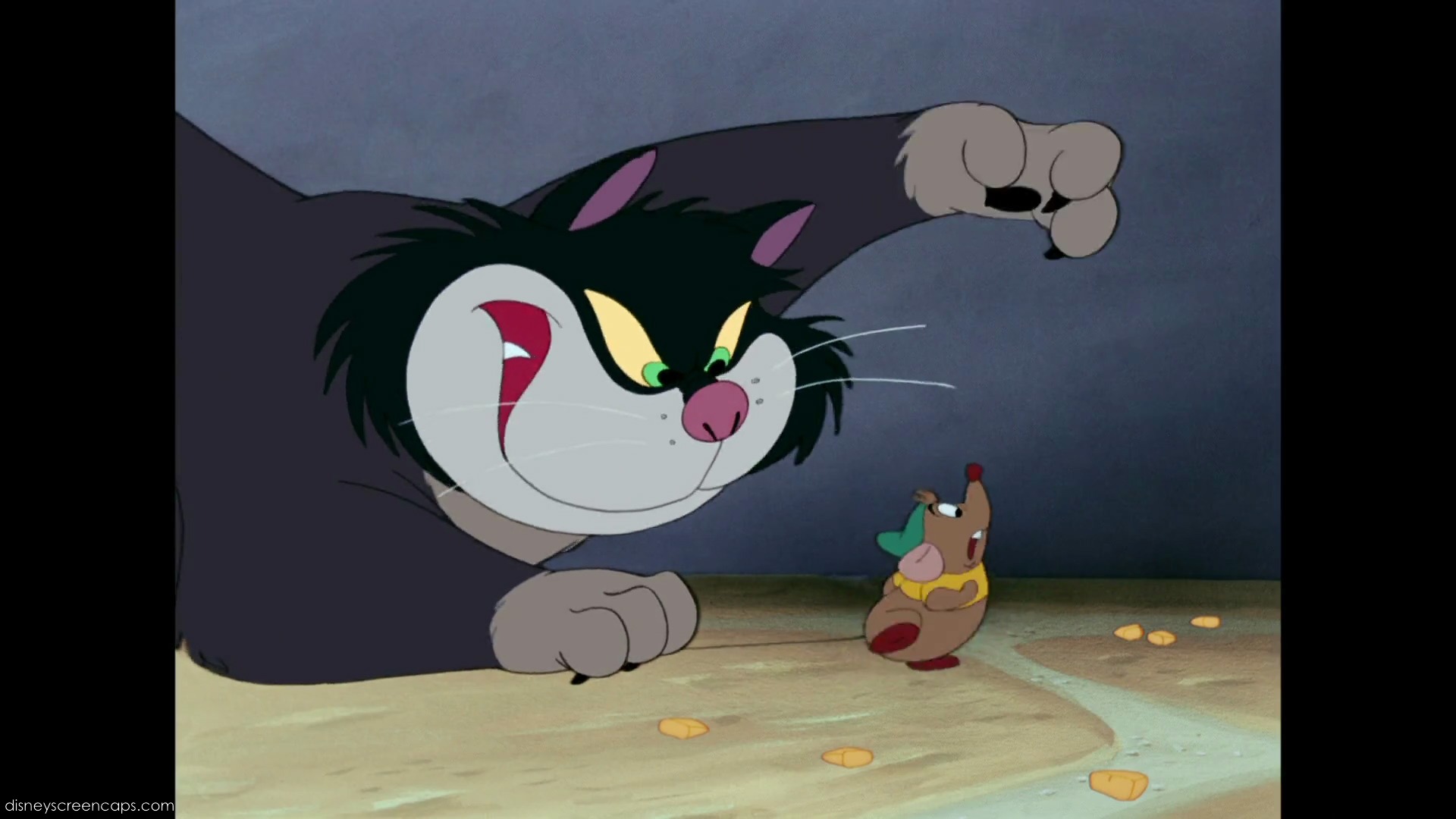 Tom và Jerry phiên bản đời thật vẫn hài như phim - 2sao