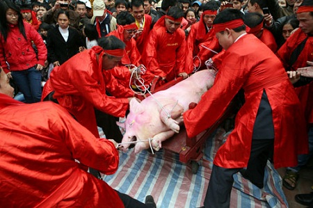 Lễ hội chém lợn ở làng Ném Thượng (Bắc Ninh) còn nhiều ý kiến trái chiều.